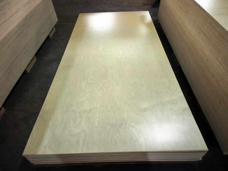 White Birch Plywood